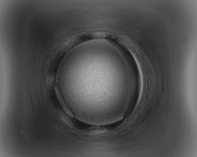X0000085840601200703231444