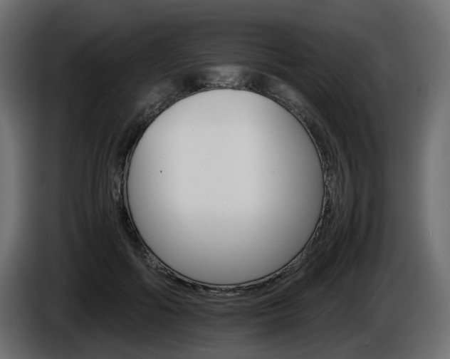 X0000085840602200703231444