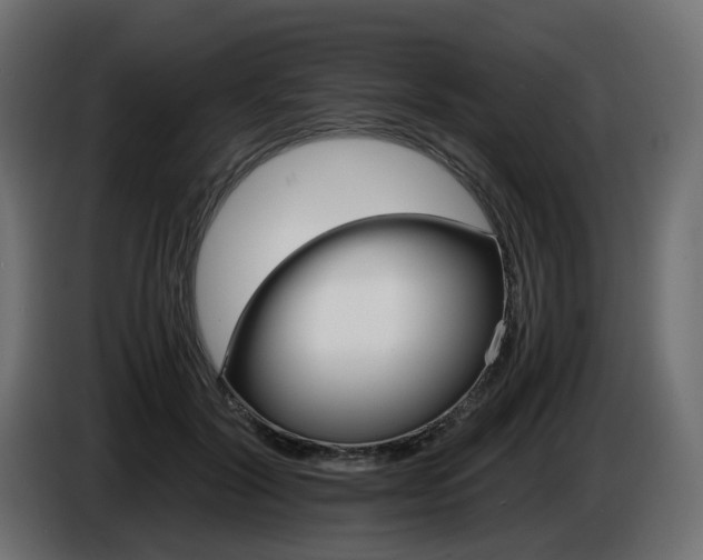 X0000085840604200703231444