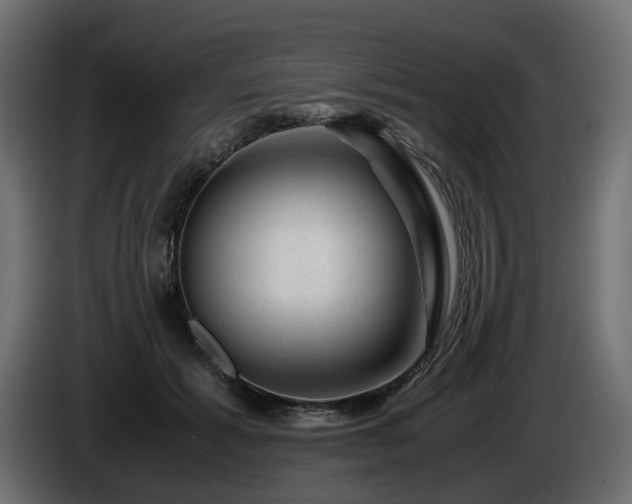 X0000085840605200703231444