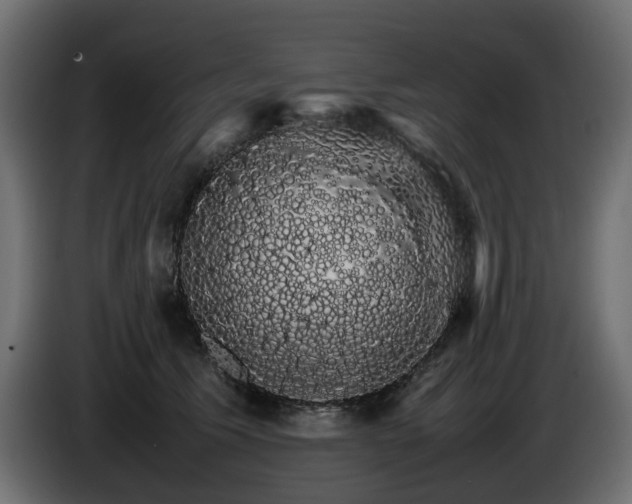 X0000085840609200703231444