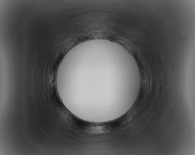 X0000085840610200703231444