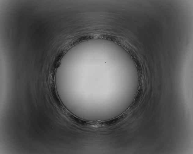 X0000085840611200703231444