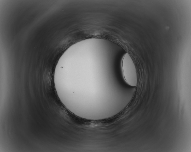 X0000085840612200703231444