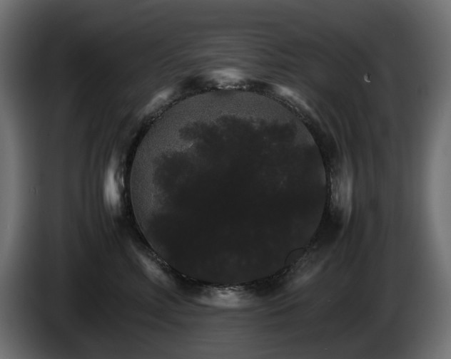 X0000085840618200703231444