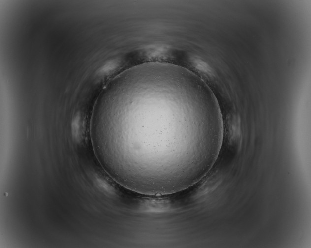 X0000085840619200703231444