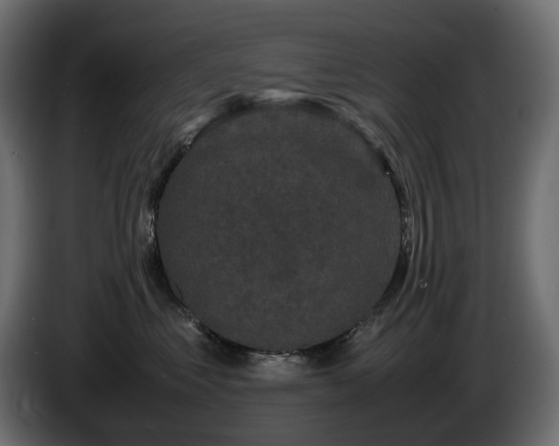 X0000085840621200703231444