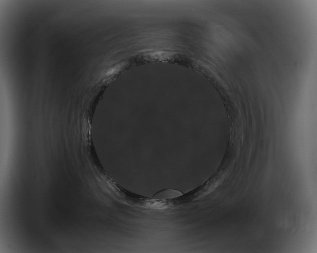 X0000085840624200703231444