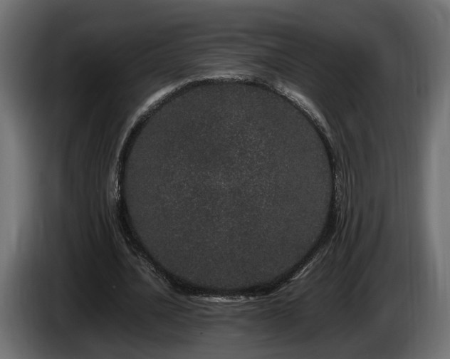 X0000085840628200703231443