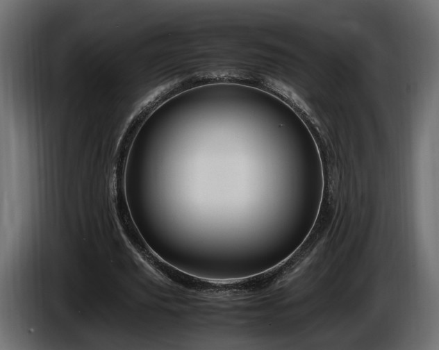 X0000085840629200703231443