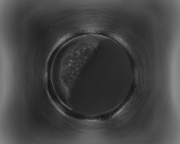 X0000085840630200703231443