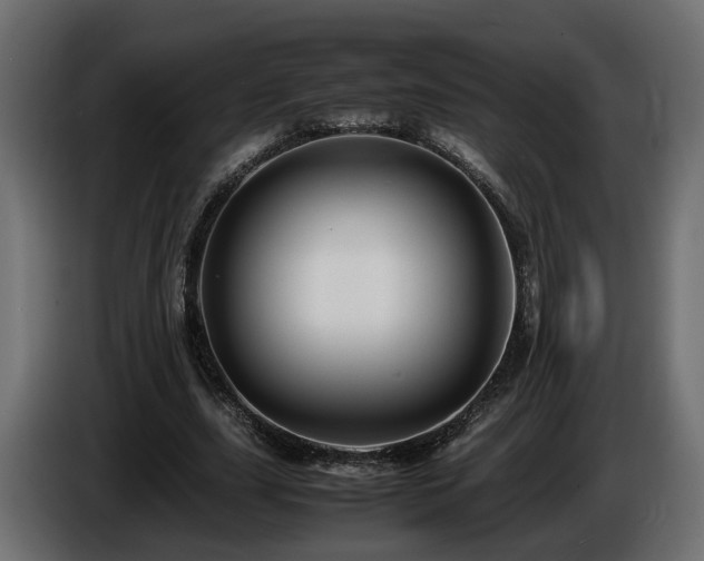 X0000085840631200703231443