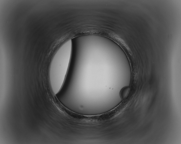X0000085840633200703231443