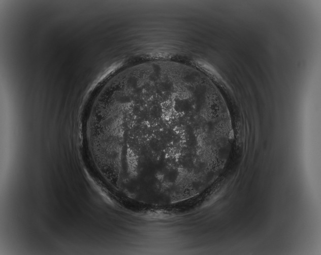 X0000085840634200703231443