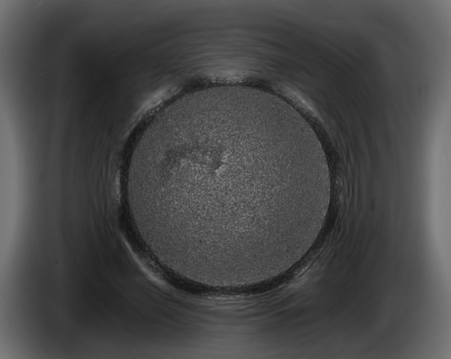 X0000085840638200703231443