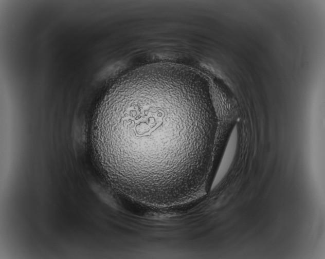 X0000085840639200703231443