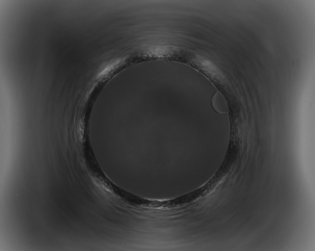 X0000085840640200703231443