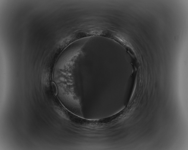 X0000085840641200703231443