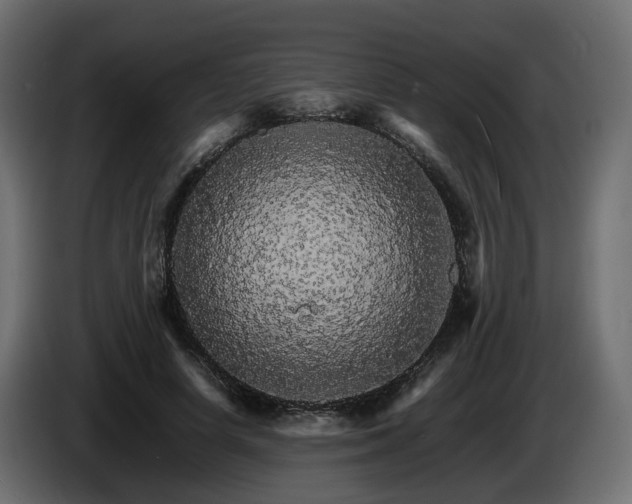 X0000085840642200703231443