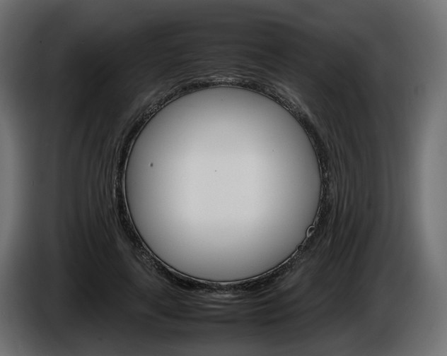X0000085840643200703231443