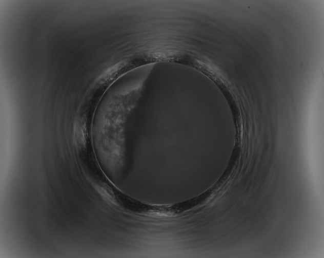 X0000085840644200703231443
