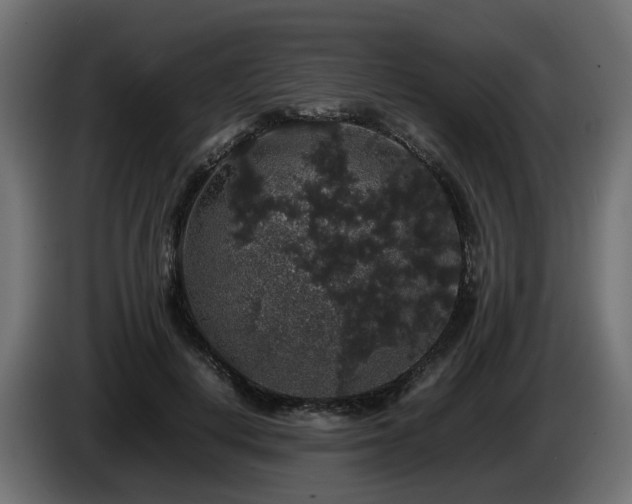 X0000085840648200703231443
