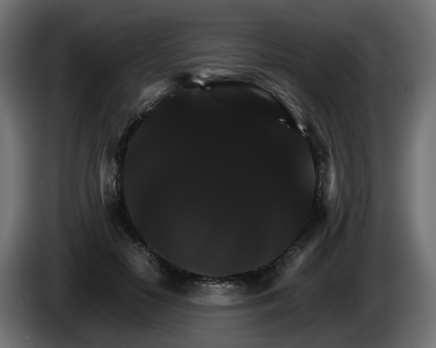X0000085840650200703231443