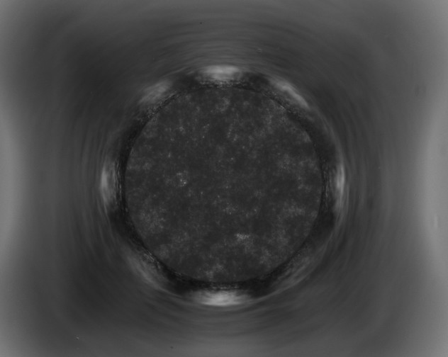 X0000085840651200703231443