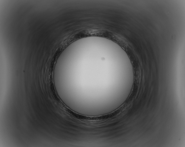 X0000085840653200703231443