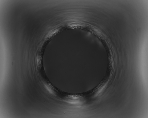 X0000085840654200703231443
