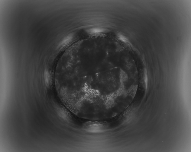 X0000085840658200703231444