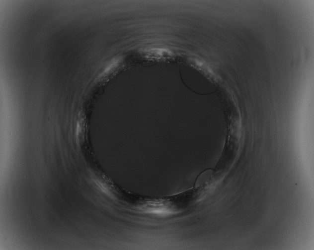 X0000085840659200703231444