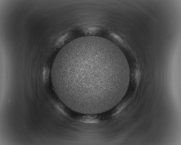 X0000085840660200703231444