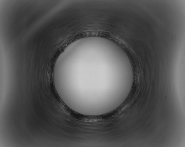 X0000085840661200703231444
