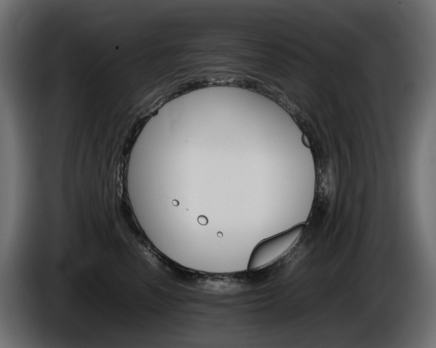 X0000085840666200703231444