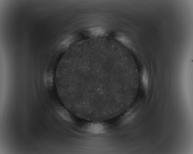 X0000085840668200703231444