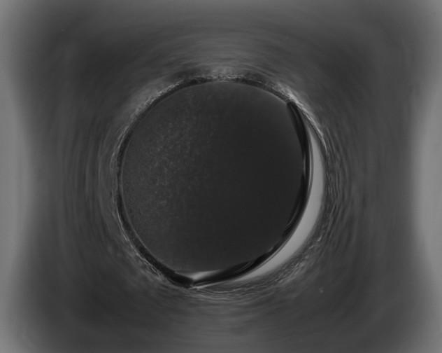 X0000085840673200703231443
