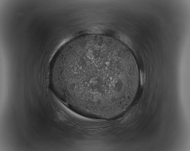 X0000085840675200703231443