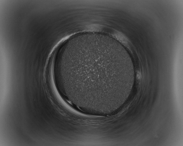X0000085840676200703231443
