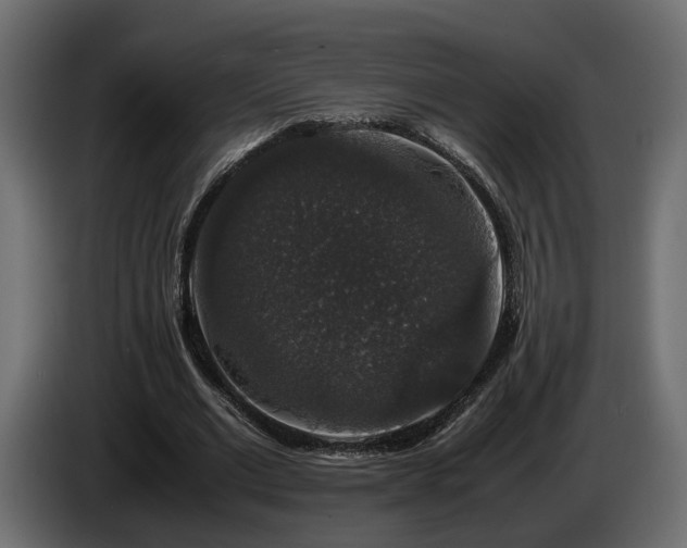 X0000085840677200703231443