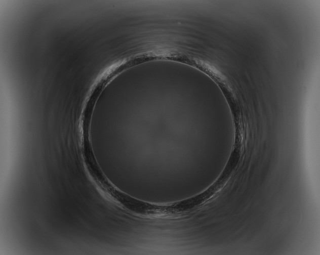 X0000085840678200703231443