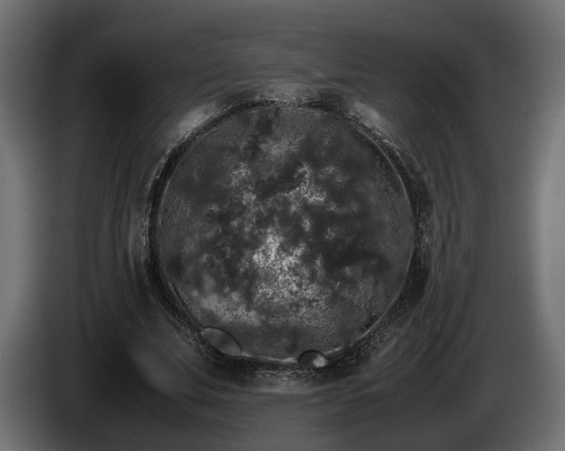 X0000085840679200703231443