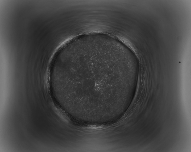X0000085840680200703231443