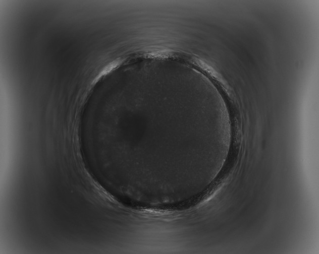 X0000085840681200703231443
