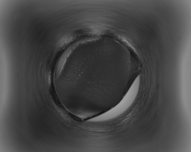 X0000085840685200703231443