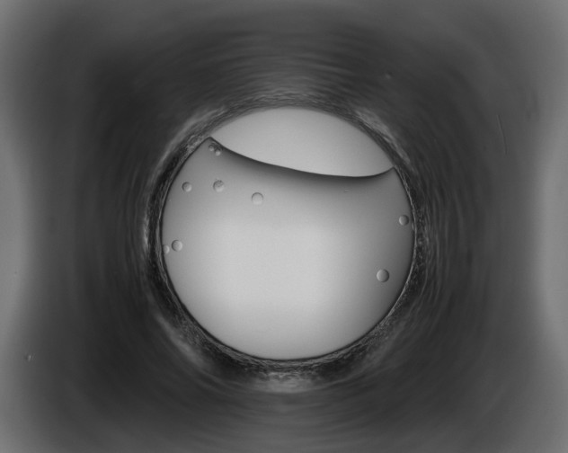 X0000085840686200703231443