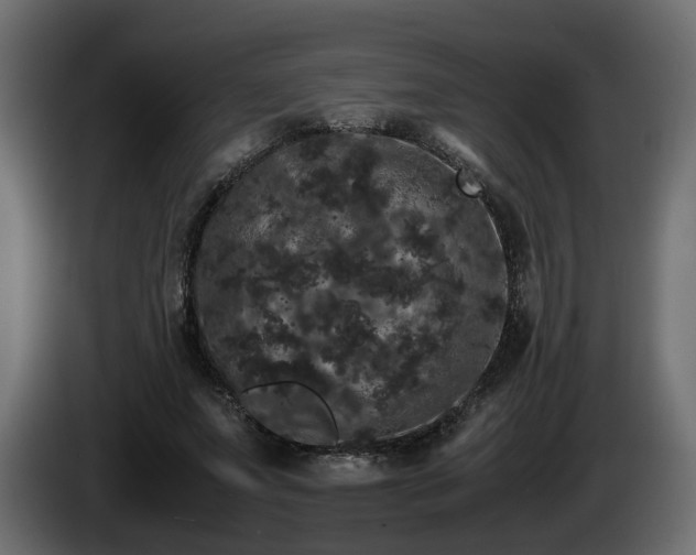 X0000085840687200703231443