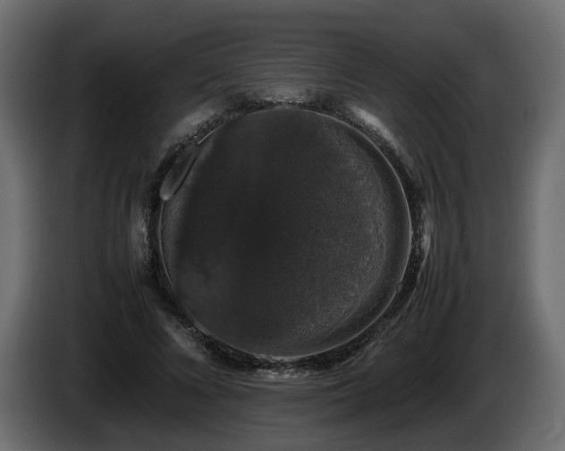 X0000085840688200703231443