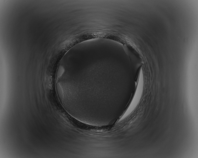 X0000085840689200703231443