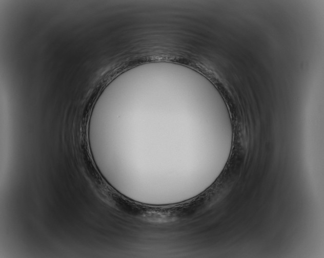 X0000085840690200703231443